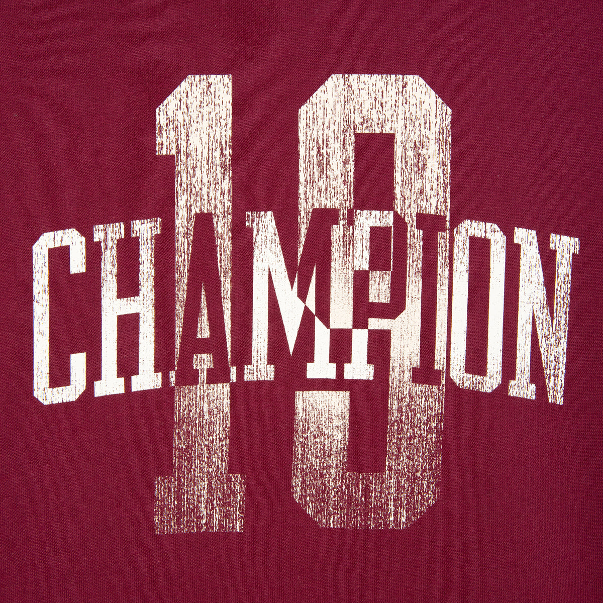 Sudadera Vintage Wash 19 Champion para Hombre