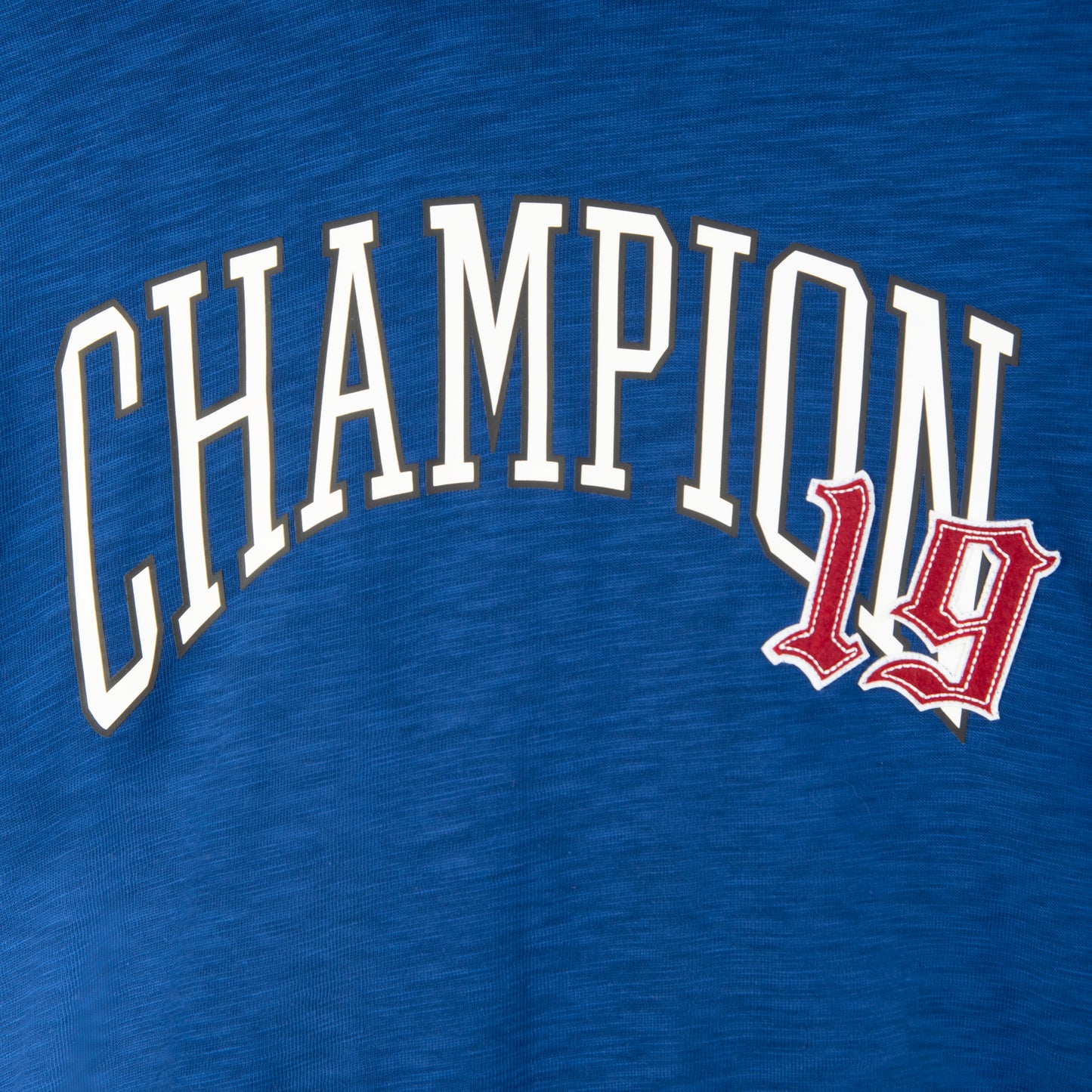 Sudadera con Gorro DYE Champion para Hombre