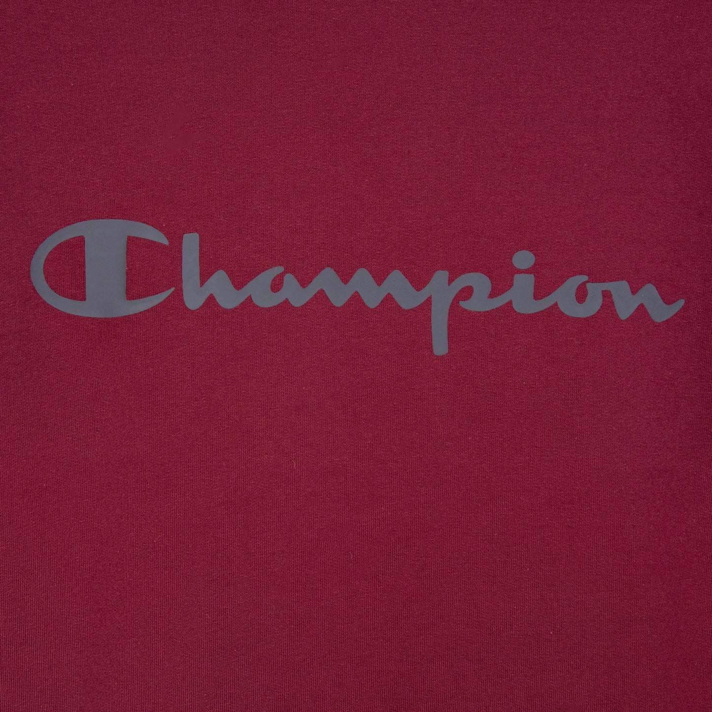 Sudadera Champion Script con Gorro para Hombre