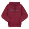 Sudadera Champion Script con Gorro para Hombre