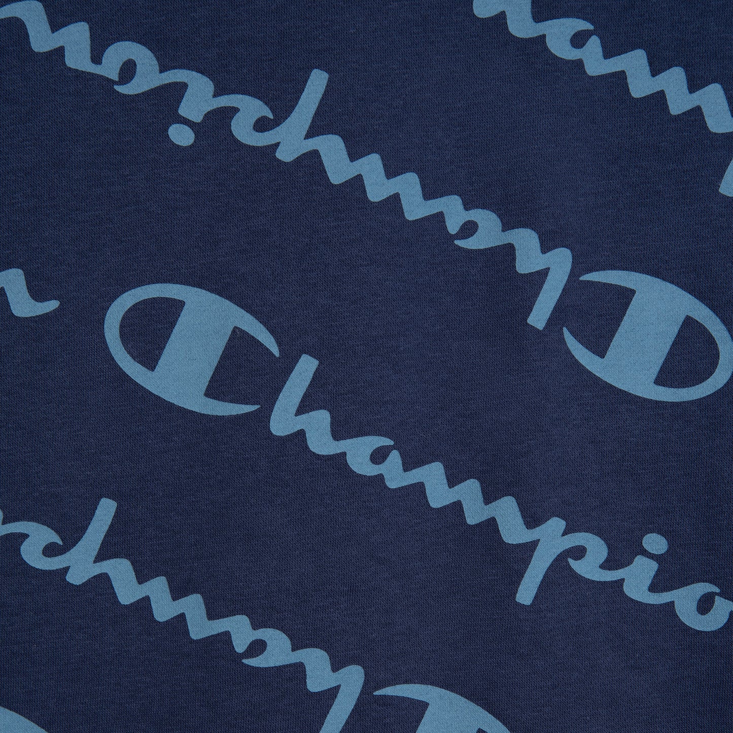 Sudadera con Gorro Champion All Over Print para Hombre