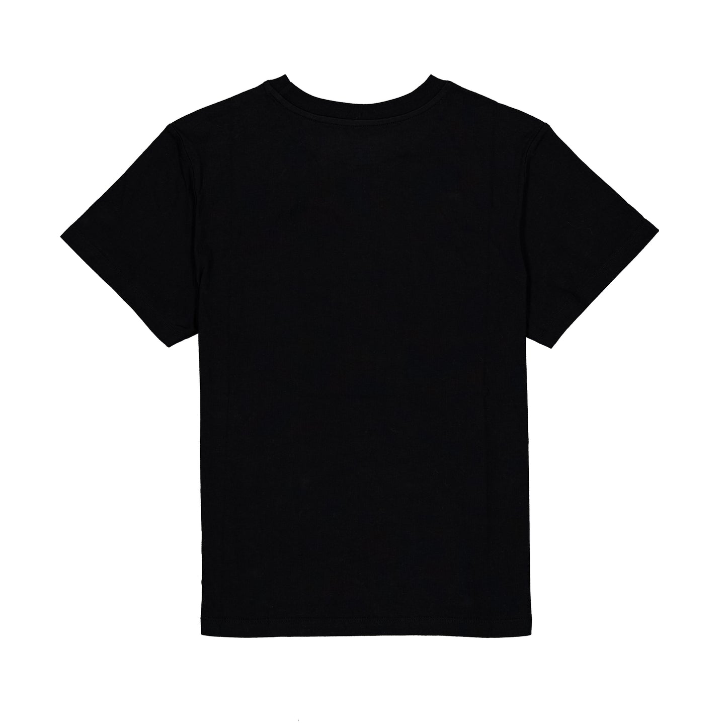 Playera Champion "University Print"