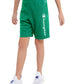 Shorts Para Niño French Terry Short Champion