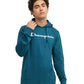Middleweight T-Shirt Hoodie