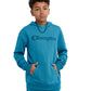 Pullover Hoodie Classic Script Kids Champion