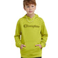 Pullover Hoodie Classic Script Kids Champion